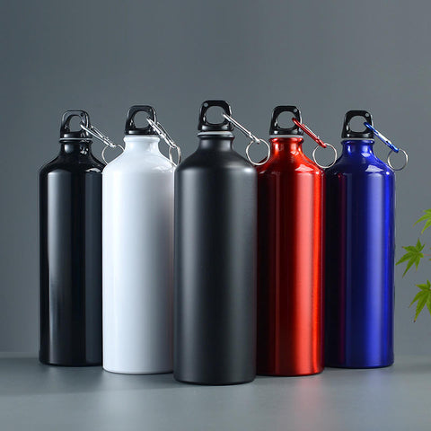 304 stainless steel sports water bottle with carabiner lid