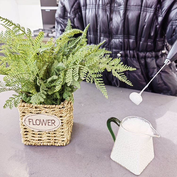 Kitchen Gift Coffee Whisk Mixer Electric Milk and Coffee Wand Stainless Steel Milk Frother Machine