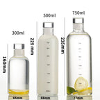 Glass Customize Borosilicate Fitness Water Bottle – With Time Stamp &amp; Glass Lid