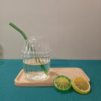 High Borosilicate Cartoon Bobo Glass Cup – With Lid &amp; Straw