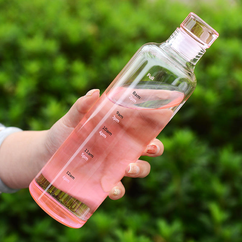 Glass Customize Borosilicate Fitness Water Bottle – With Time Stamp &amp; Glass Lid