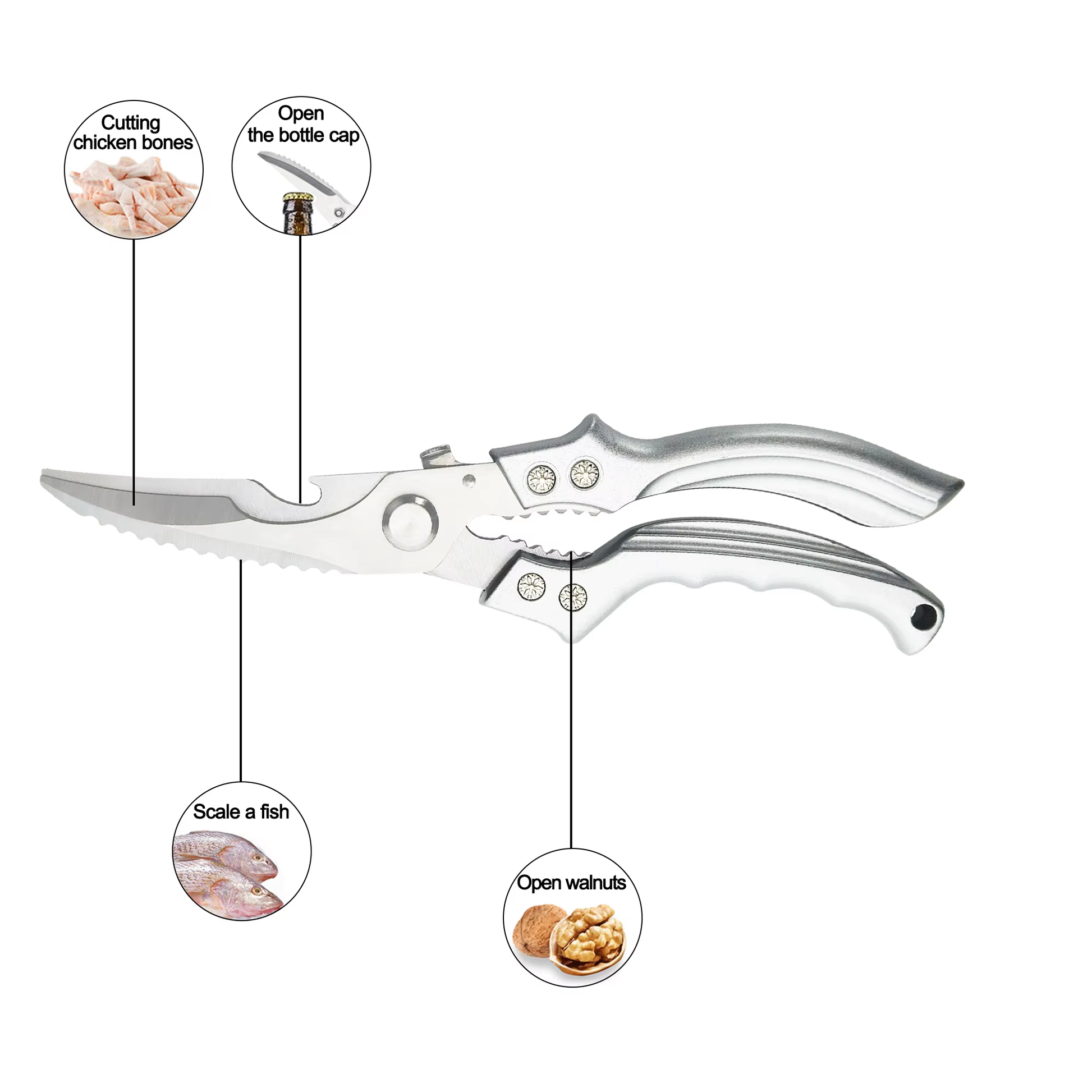 
Durable Stainless Steel Kitchen Cutting Scissors