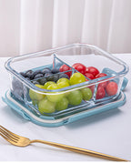 High Borosilicate Glass Lunch Box – Household Bento Box