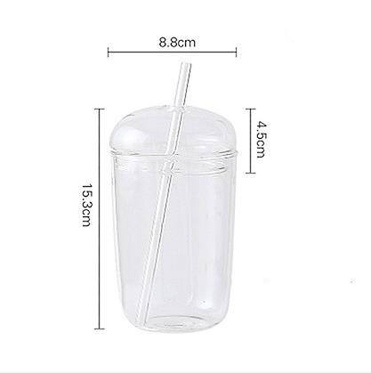 Fashion Style Clear Borosilicate Tumbler – With Dome Glass Lid &amp; Glass Straw