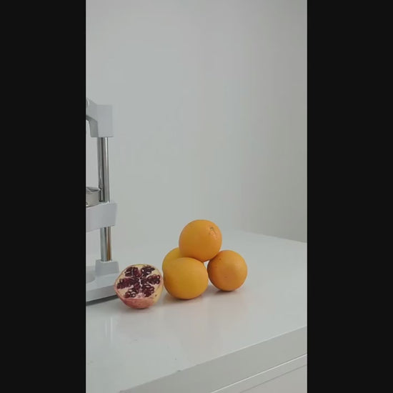 Manual Citrus Fruit Juicer for Orange and Lemon